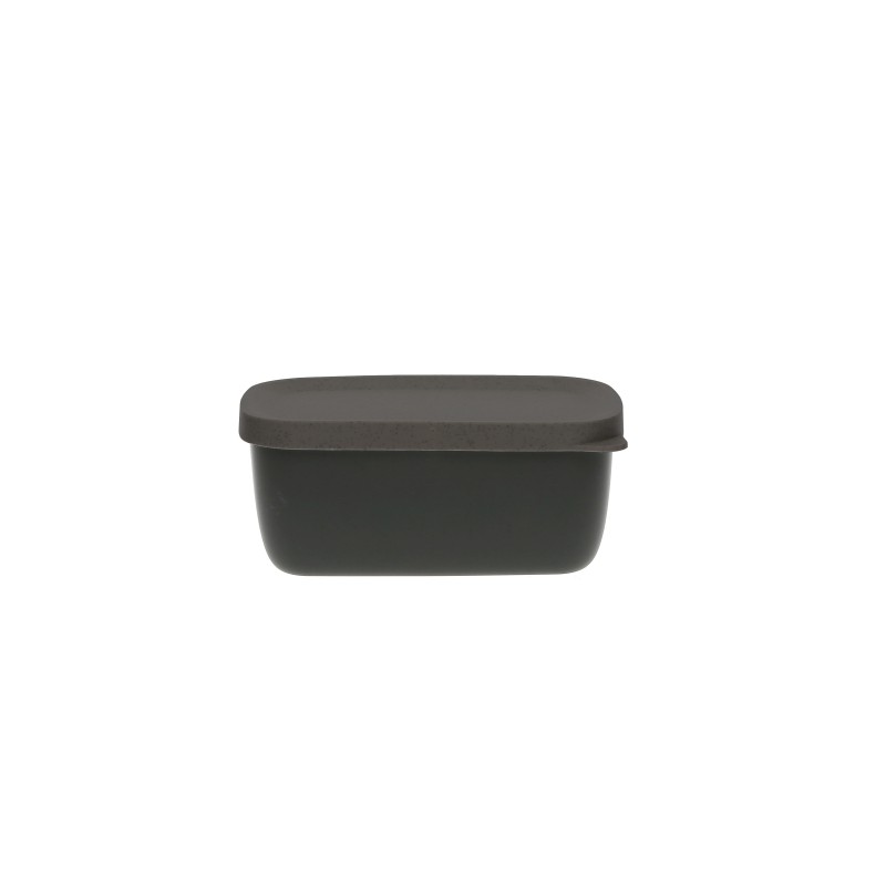 250ml rectangular organic resin bowl and lid